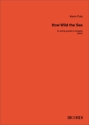 How Wild the Sea Streichorchester mit Solo Partitur