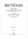 Agnus Dei Soli/Coro SATB, 2 Fl, 2 Ob, 2 Clt, 2 Fg, 2 Cor, 2 Vl, Va, Vc, Cb Einzelstimme, Violine 1