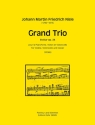 Grand Trio Es-Dur op. 24 fr Violine, Violoncello, Klavier Klavierpartitur und Stimmen