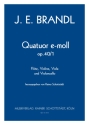 Quatuor e-moll op. 40/1, hrsg. R.Schottstdt Fl,Vl,Vla,Vcl