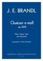 Quatuor D-Dur op. 40/2, hrsg. R.Schottstdt Fl,Vl,Vla,Vcl