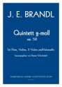 Quintetto Nr.1 g-moll op. 58, hrsg. R.Schottstdt Fl,Vl,2Vla,Vcl