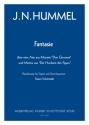 Fantasie ber Themen aus W.A. Mozarts Don Giovanni, arr. R.Schottstdt Fg,2Vl,2Vla,Vc