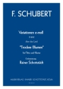 Variationen e-moll D 802 ber das Lied Trockne Blumen arr. R.Schottstdt Fl + Streichorchester