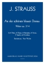 An der schnen blauen Donau, arr. P.Wuttke 2Fl,2Ob,2Cl,2Hrn,2Fg,Kb