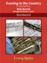 Evening In The Country for Flute Flute solo