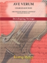 Ave Verum (s/o) String Orchestra