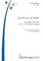 Du bist wie eine Blume  fr Singstimme und Klavier