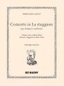 Concerto per chitarra e orchestra Orchester mit Solo Einzelstimme