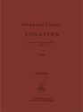 Sonatina Horn mit Begleitung Buch und Einzelstimme(n)
