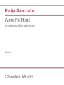 Ariel's Hail Kammerensemble Partitur und Stimmen