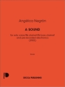 A sound Klarinette mit Begleitung Buch