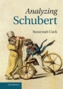 Analyzing Schubert  Hardback