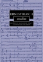 Ernest Bloch Studies  Hardback