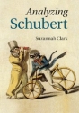Analyzing Schubert  Paperback
