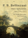 Two Sonatas in C minor Recorder