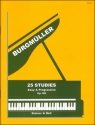 Twenty-five Studies, Op. 100 Piano
