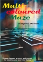 Multi-coloured Maze Book