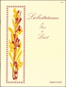 Liebestrame Piano