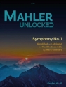 Mahler Unlocked for Flexible Ensemble Flexible Ensemble