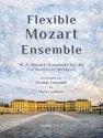 Symphony No. 40 for flexible ensemble Flexible Ensemble