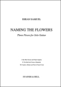Naming the Flowers Guitar