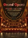Grand Opera: Flexible Ensemble Flexible Ensemble