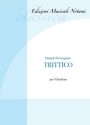 Trittico Vibraphon Buch