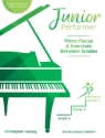 Willis Junior Performer: Book 3 (Intermediate) Klavier Buch