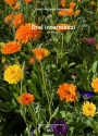 Drei Intermezzi für Kinder op.152 (2025) für Klavier