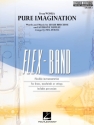 Pure Imagination Concert Band SET HE
