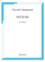 Nitause Gitarre Buch