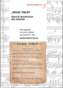Magic Violin J�dische Musikkultur und Moderne Hardcover