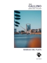 Riberas del Plata Gitarre Buch