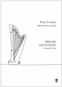 Dreams and Echoes Harfe
