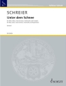 Unter dem Schnee f�r Fl�te, Oboe, Viola d'amore, Violoncello und Cembalo Partitur und Stimmen