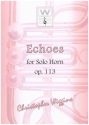 Echoes op.113 for solo horn