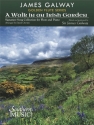 A Walk in an irish Garden for flute and piano