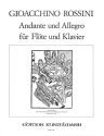 Andante und Allegro f�r Fl�te und Klavier