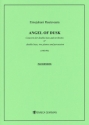 Angel of Dusk - Concerto for double bass and orchestra (or with 2 pianos and percussion) double bass