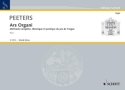 Ars organi Band 1 Theoretische und praktische Orgelschule