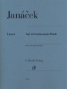 Auf verwachsenem Pfade f�r Klavier