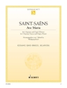 Ave Maria A-Dur f�r 2 Soprane (Sopran/Alt) und Orgel