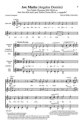 Ave Maria (Angelus Domini) for 2  female choirs (SSA/SSAA) a cappella choral score
