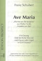 Ave Maria f�r Gesang und Klavier (Orgel) (lat/dt) in 5 Tonarten