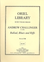 Ballad, Blues and Riffs   for 5 recorders (SAATB) score and parts