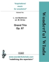 Beethoven, L. van, Grand Trio Clarinet Trio: 3 Bb cCls.