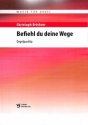 BEFIEHL DU DEINE WEGE f�r Orgel
