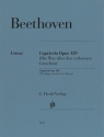 Capriccio G-dur op.129 f�r Klavier zu zwei H�nden