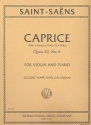Caprice after a Study in Form of a Waltz op.52,6 for violin and piano